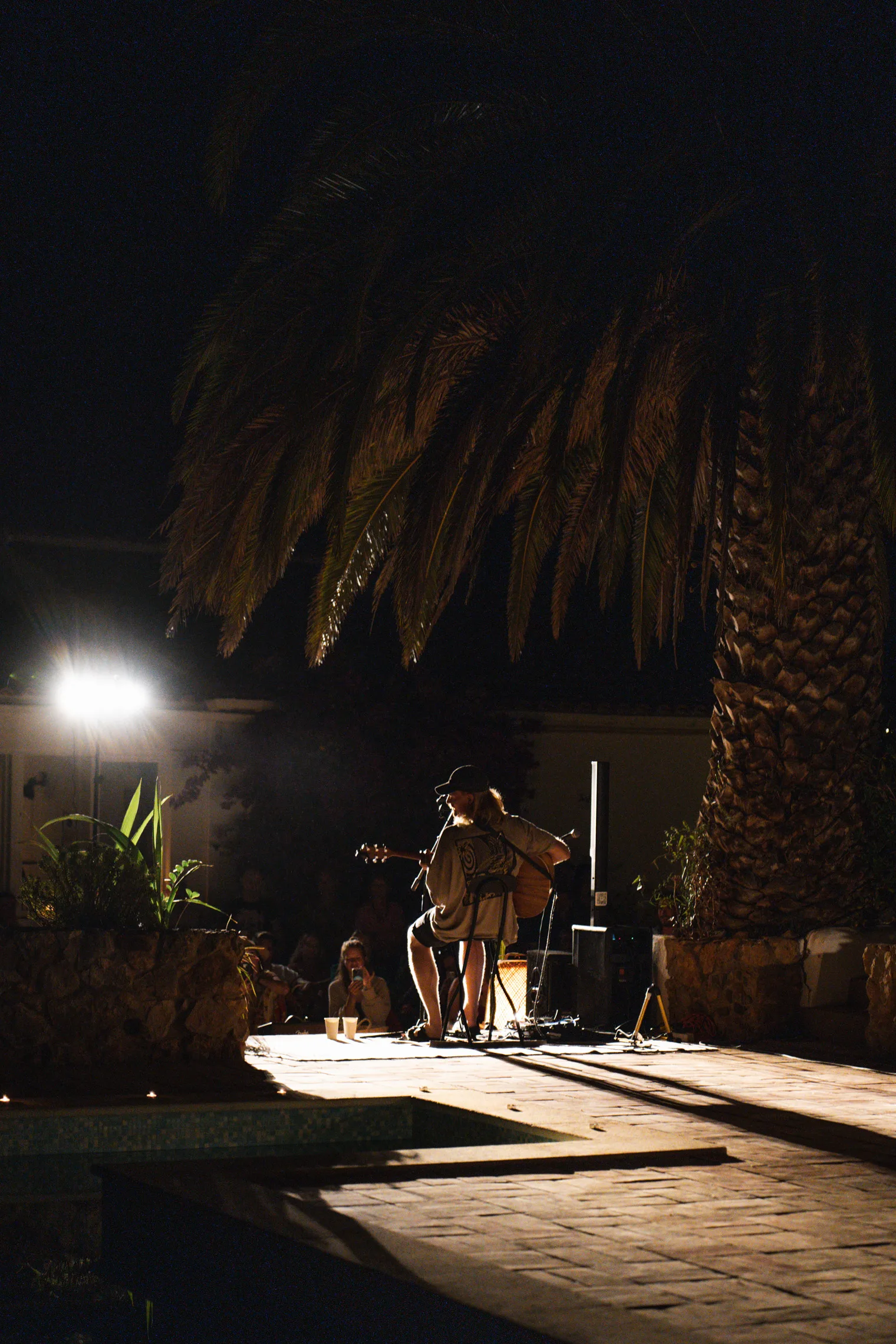 Event photography Portugal – live music performance under palm trees